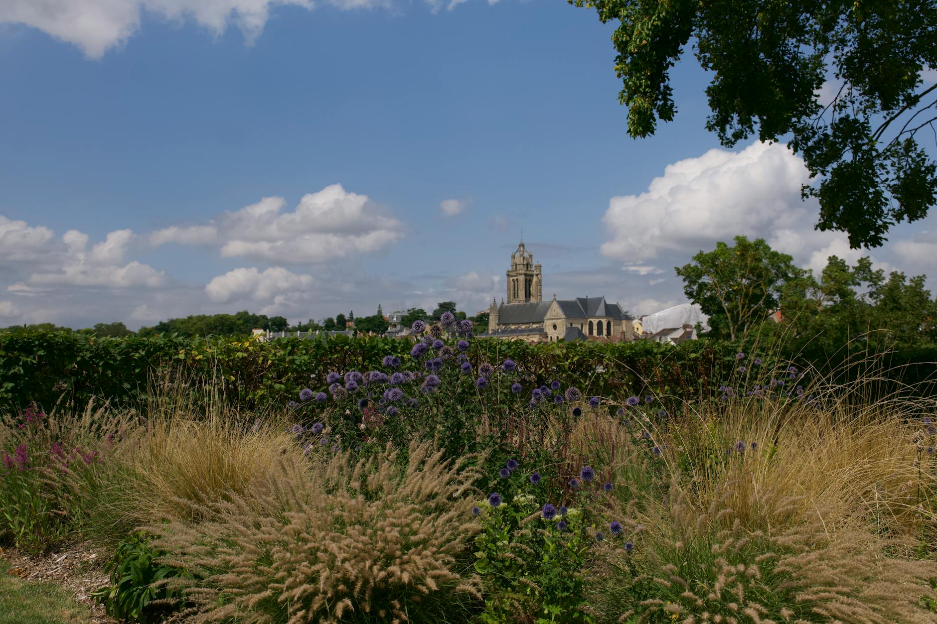 Agence Web Argenteuil - Argenteuil